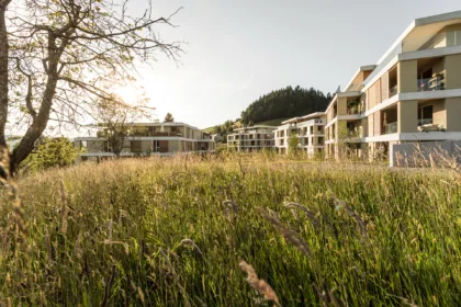 Neubau sonnenarena langnau aussenansicht feld