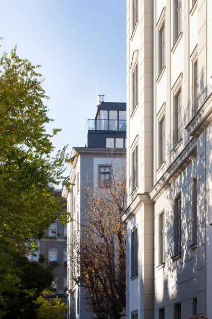 Umbau hamerlingplatz wien aussenansicht baeume